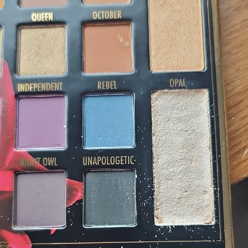 New Sylvia Gani BH Cosmetics 22-Color Eyeshadow Palette With 2 Highlighters